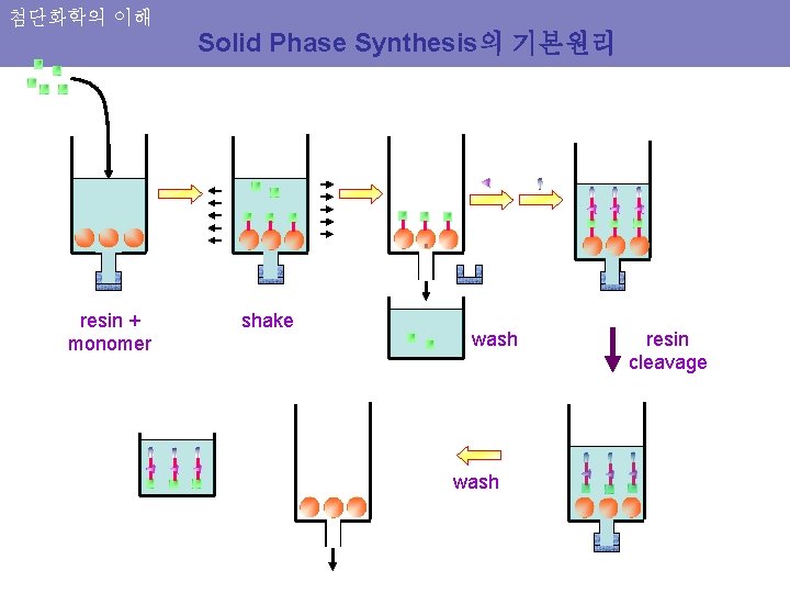 첨단화학의 이해 Solid Phase Synthesis의 기본원리 resin + monomer shake wash resin cleavage 