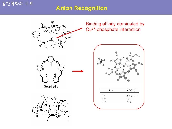 첨단화학의 이해 Anion Recognition 