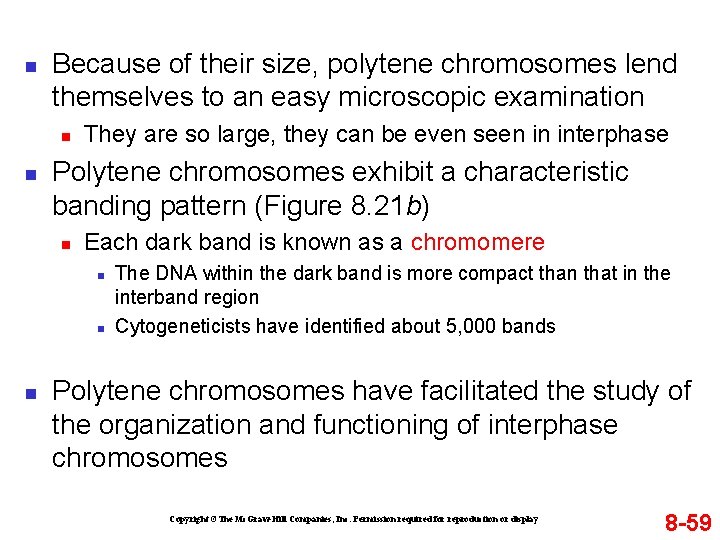 n Because of their size, polytene chromosomes lend themselves to an easy microscopic examination