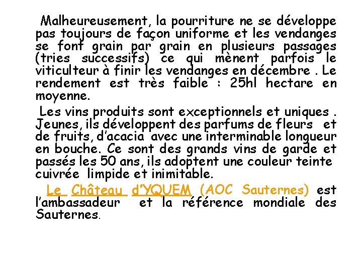 Malheureusement, la pourriture ne se développe pas toujours de façon uniforme et les vendanges