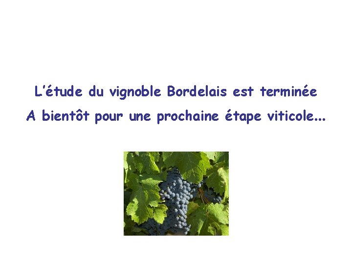 L’étude du vignoble Bordelais est terminée A bientôt pour une prochaine étape viticole… 