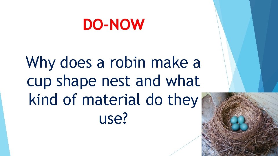 DO-NOW Why does a robin make a cup shape nest and what kind of