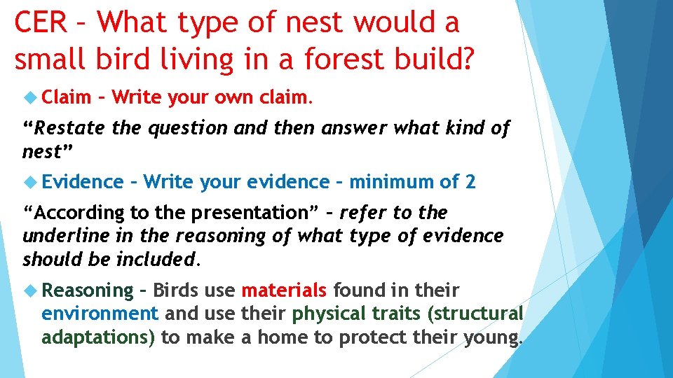 CER – What type of nest would a small bird living in a forest