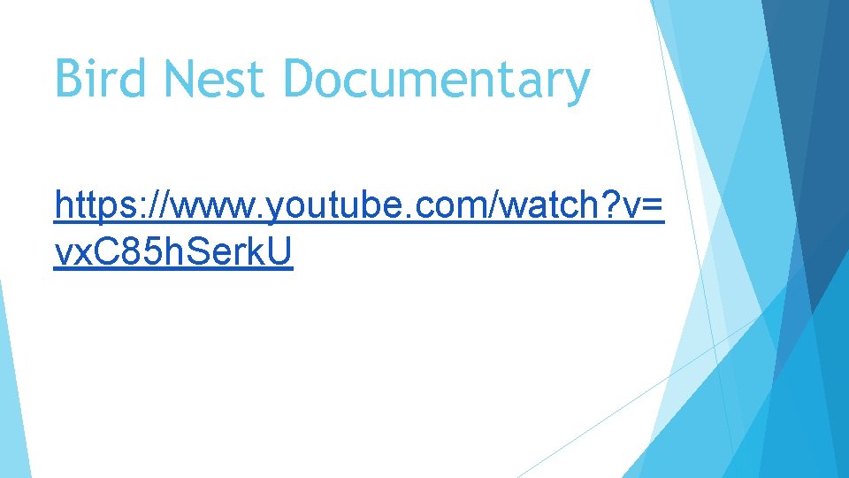 Bird Nest Documentary https: //www. youtube. com/watch? v= vx. C 85 h. Serk. U