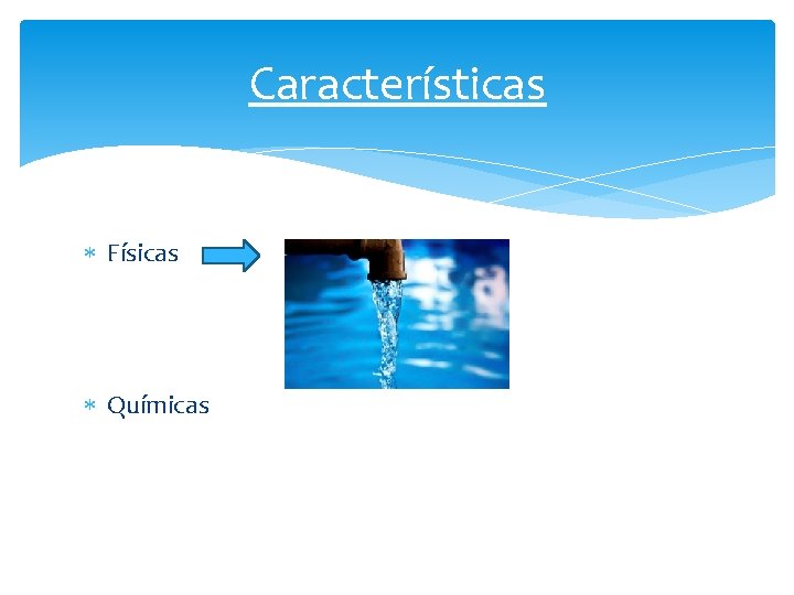Características Físicas Químicas 
