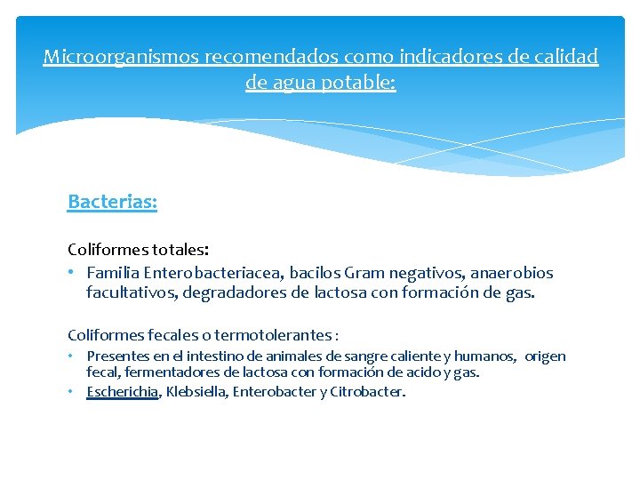 Microorganismos recomendados como indicadores de calidad de agua potable: Bacterias: Coliformes totales: • Familia