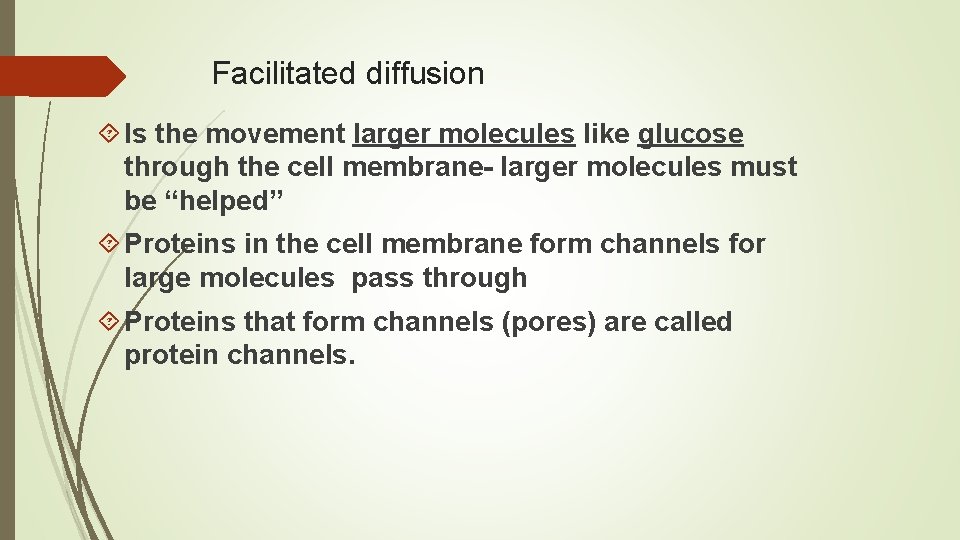 Facilitated diffusion Is the movement larger molecules like glucose through the cell membrane- larger Facilitated diffusion Is the movement larger molecules like glucose through the cell membrane- larger