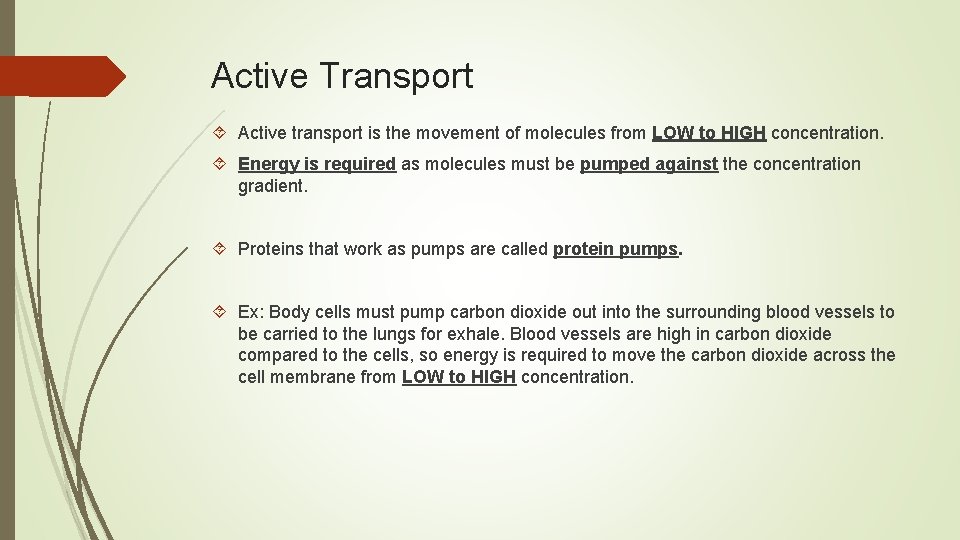 Active Transport Active transport is the movement of molecules from LOW to HIGH concentration.