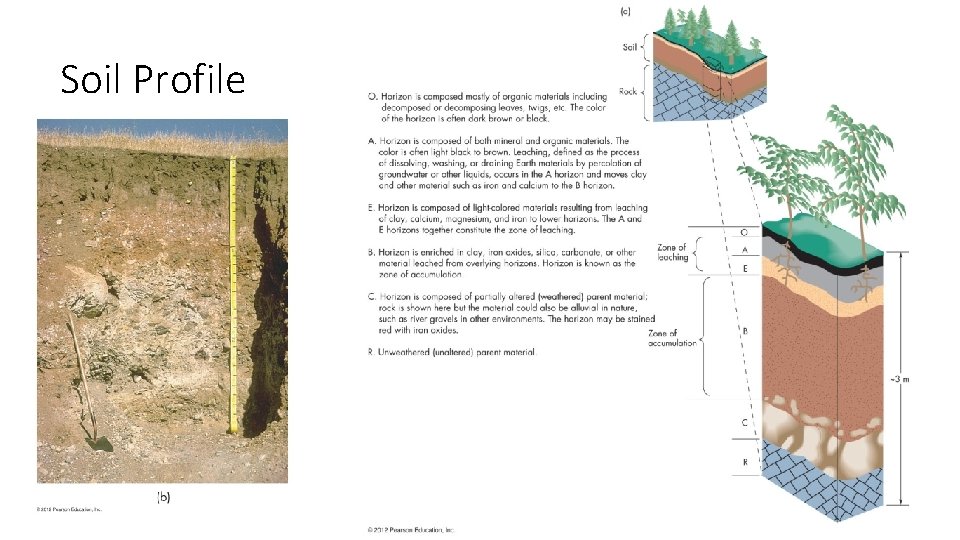 Soil Profile 