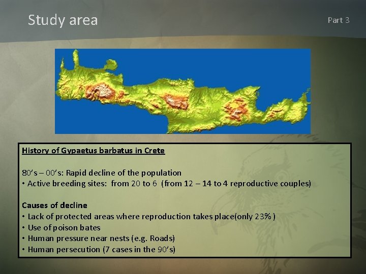 Study area History of Gypaetus barbatus in Crete 80’s – 00’s: Rapid decline of