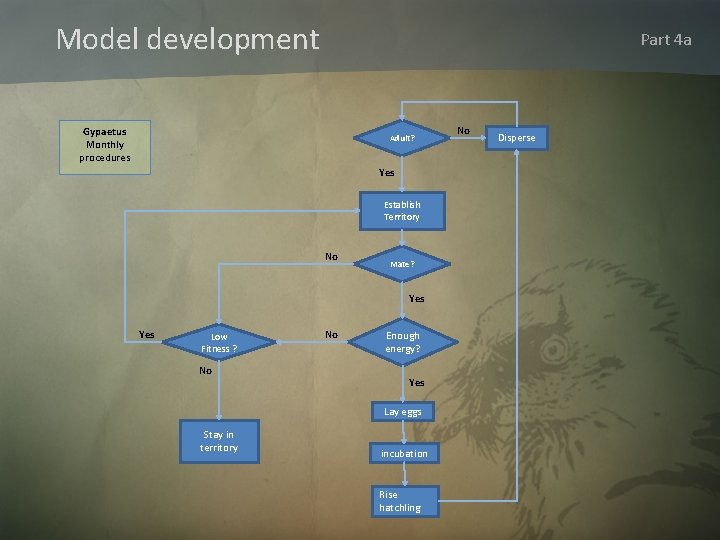 Model development Part 4 a Gypaetus Monthly procedures Adult? Yes Establish Territory No Mate?