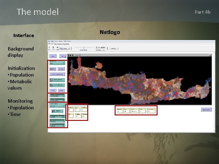 The model Interface Background display Initialization • Population • Metabolic values Monitoring • Population