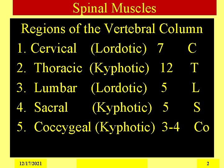 Spinal Muscles Regions of the Vertebral Column 1. Cervical (Lordotic) 7 C 2. Thoracic