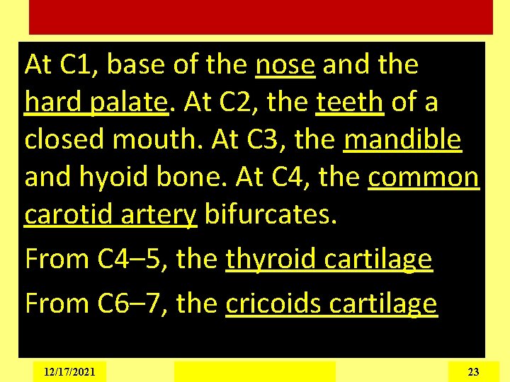 At C 1, base of the nose and the hard palate. At C 2,