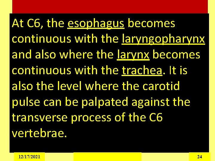 At C 6, the esophagus becomes continuous with the laryngopharynx and also where the