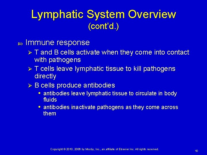 Lymphatic System Overview (cont’d. ) Immune response T and B cells activate when they