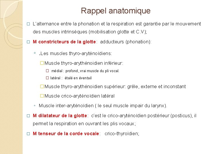 Rappel anatomique � L’alternance entre la phonation et la respiration est garantie par le