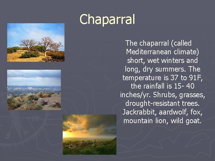 Chaparral The chaparral (called Mediterranean climate) short, wet winters and long, dry summers. The