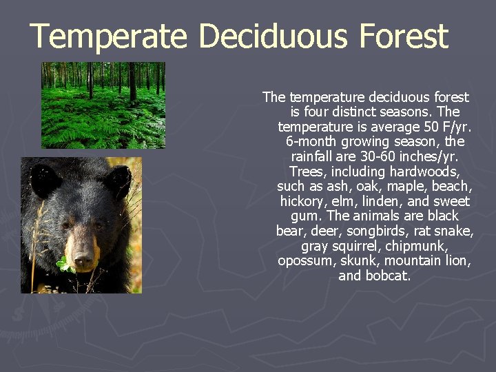 Temperate Deciduous Forest The temperature deciduous forest is four distinct seasons. The temperature is