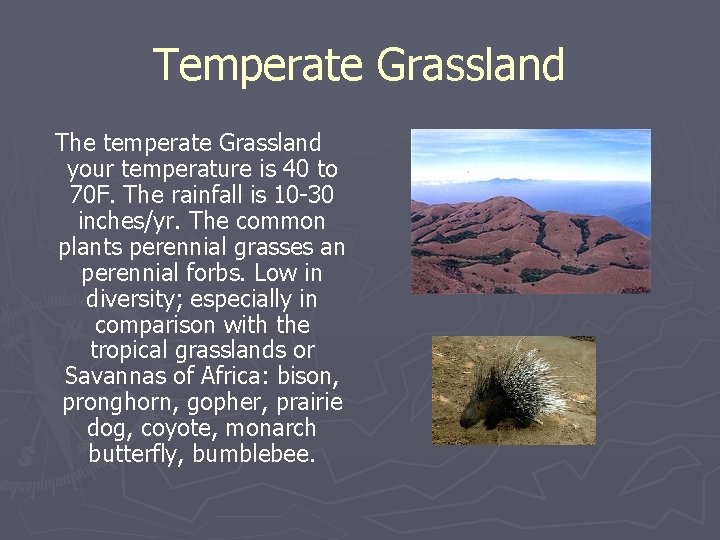 Temperate Grassland The temperate Grassland your temperature is 40 to 70 F. The rainfall