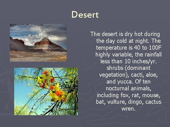 Desert The desert is dry hot during the day cold at night. The temperature