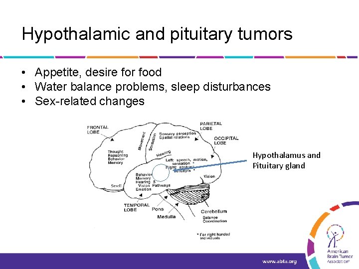 Hypothalamic and pituitary tumors • Appetite, desire for food • Water balance problems, sleep