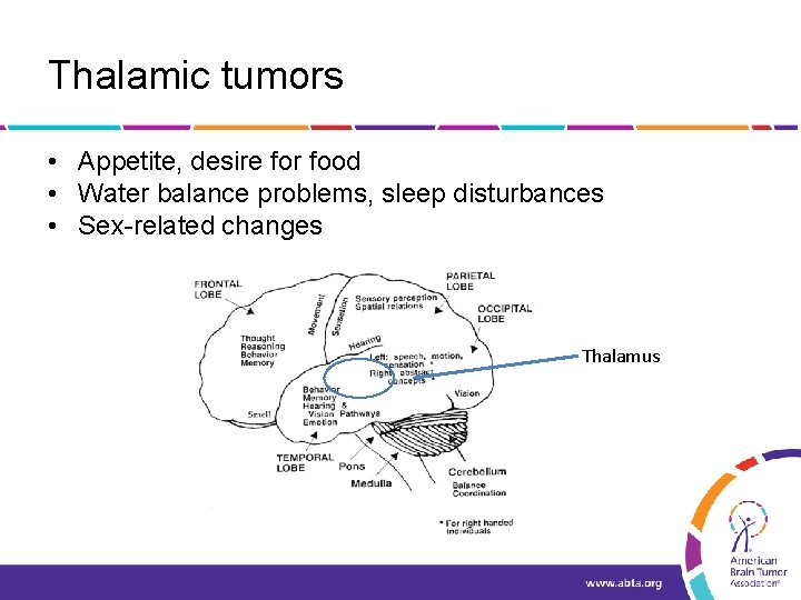 Thalamic tumors • Appetite, desire for food • Water balance problems, sleep disturbances •