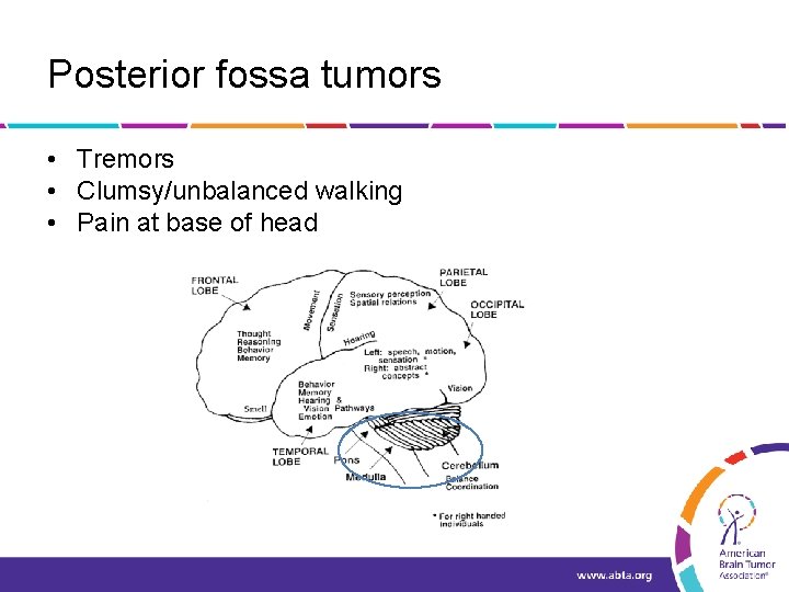 Posterior fossa tumors • Tremors • Clumsy/unbalanced walking • Pain at base of head