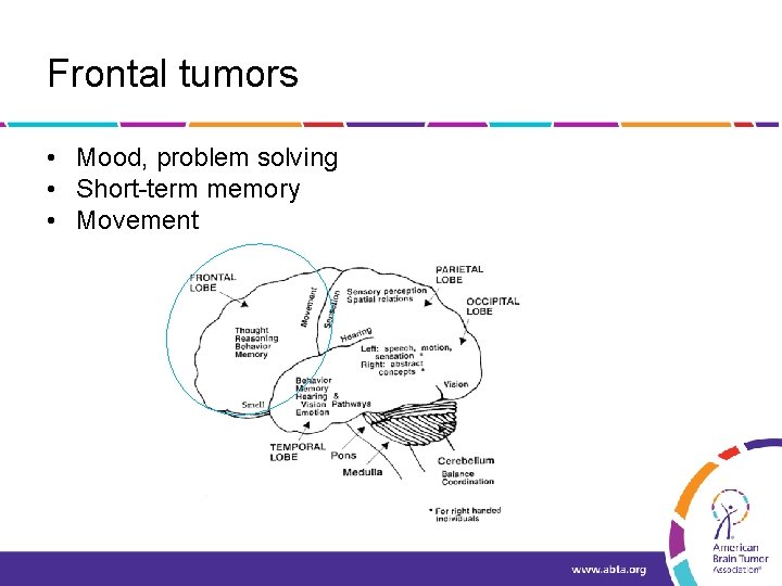 Frontal tumors • Mood, problem solving • Short-term memory • Movement 