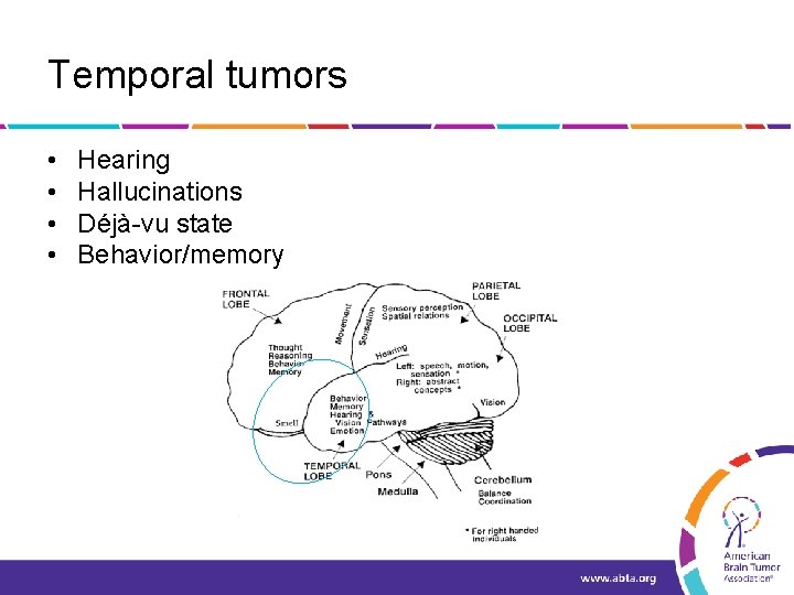 Temporal tumors • • Hearing Hallucinations Déjà-vu state Behavior/memory 