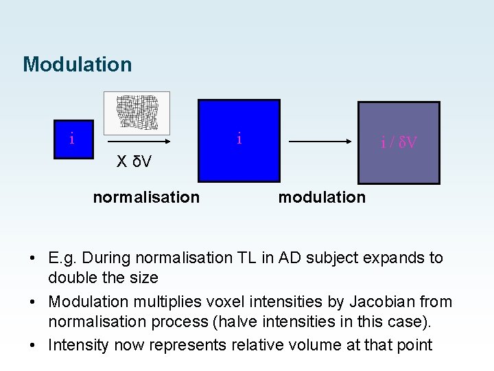 Modulation i i i / δV X δV normalisation modulation • E. g. During