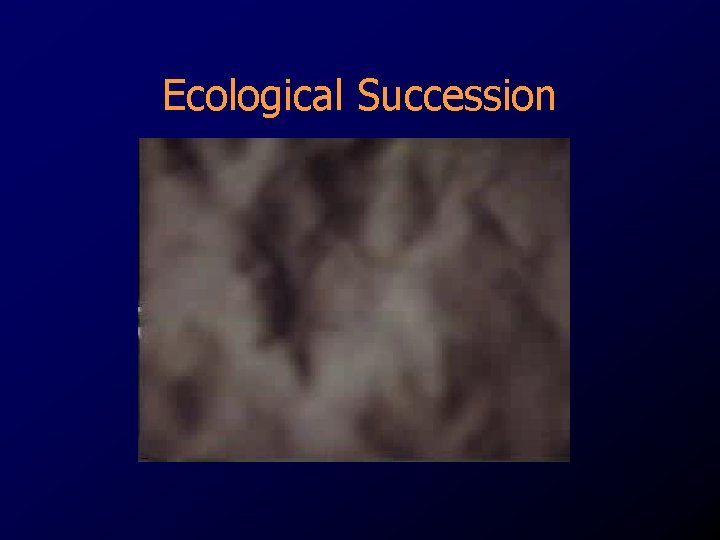 Ecological Succession 