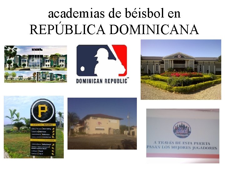 academias de béisbol en REPÚBLICA DOMINICANA 