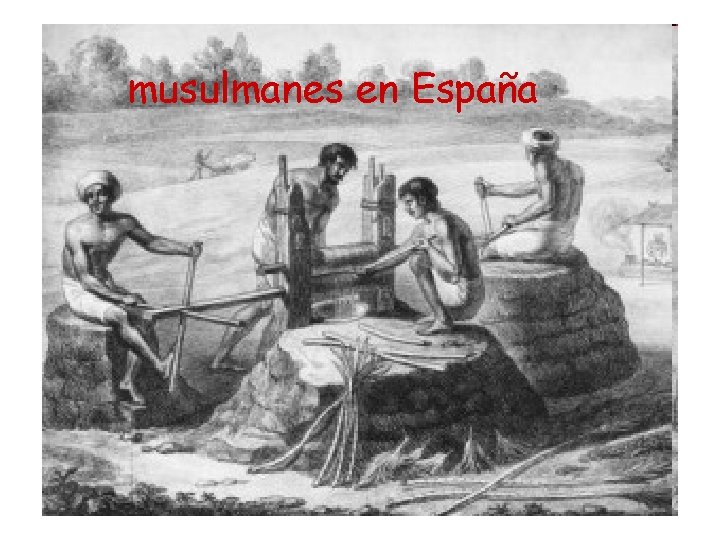 musulmanes en España 