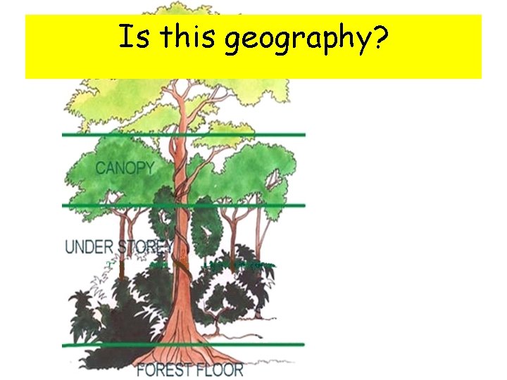 Is this geography? 