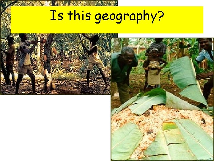 Is this geography? 