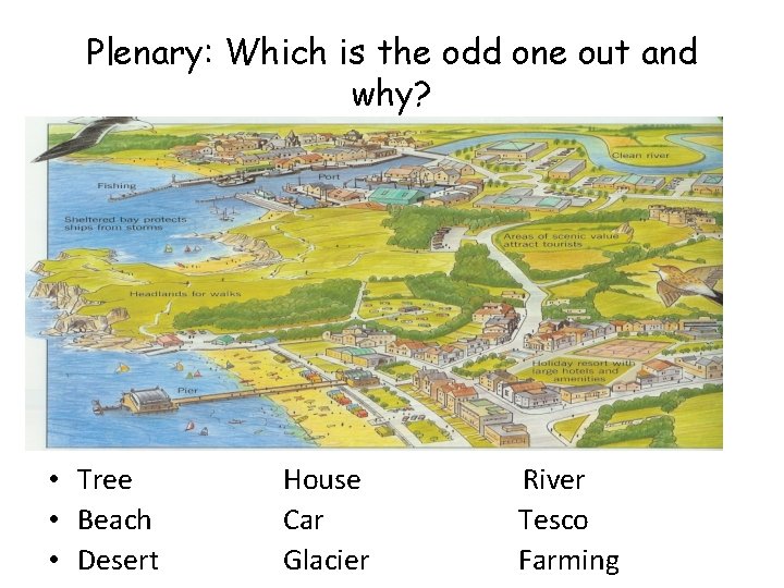 Plenary: Which is the odd one out and why? • Tree • Beach •