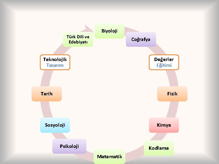 Türk Dili ve Edebiyatı Biyoloji Coğrafya Teknolojik Tasarım Değerler Eğitimi Tarih Fizik Sosyoloji Kimya