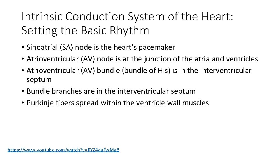 Intrinsic Conduction System of the Heart: Setting the Basic Rhythm • Sinoatrial (SA) node