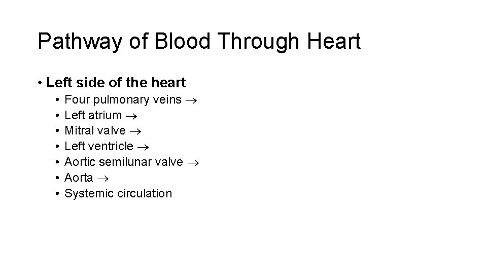 Pathway of Blood Through Heart • Left side of the heart • • Four