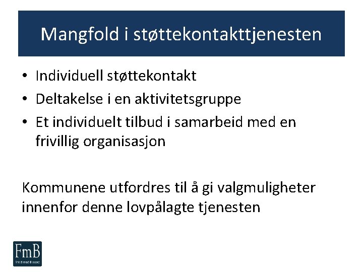 Mangfold i støttekontakttjenesten • Individuell støttekontakt • Deltakelse i en aktivitetsgruppe • Et individuelt