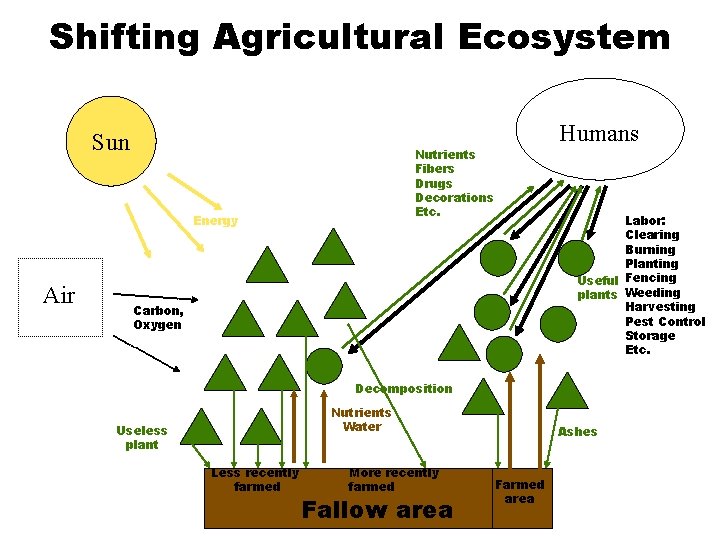 Shifting Agricultural Ecosystem Sun Nutrients Fibers Drugs Decorations Etc. Energy Air Humans Labor: Clearing