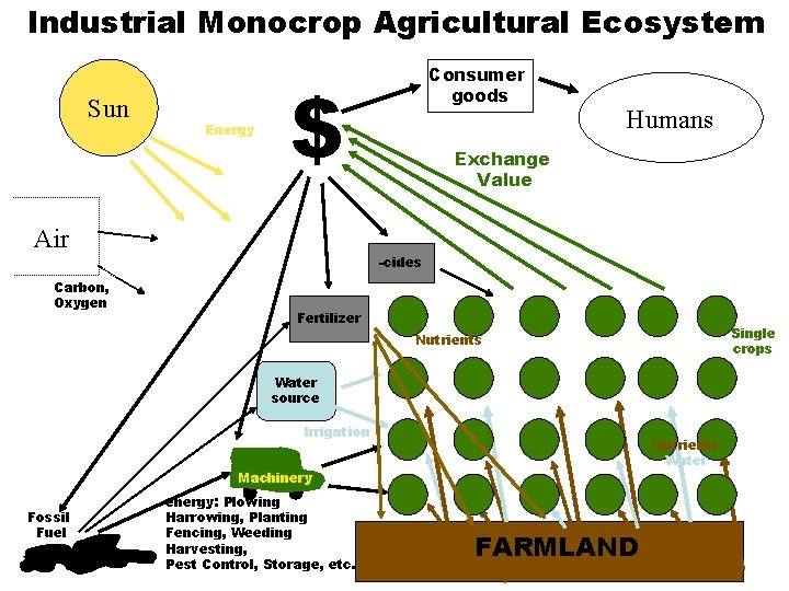 Industrial Monocrop Agricultural Ecosystem Sun Energy $ Air Carbon, Oxygen Consumer goods Humans Exchange