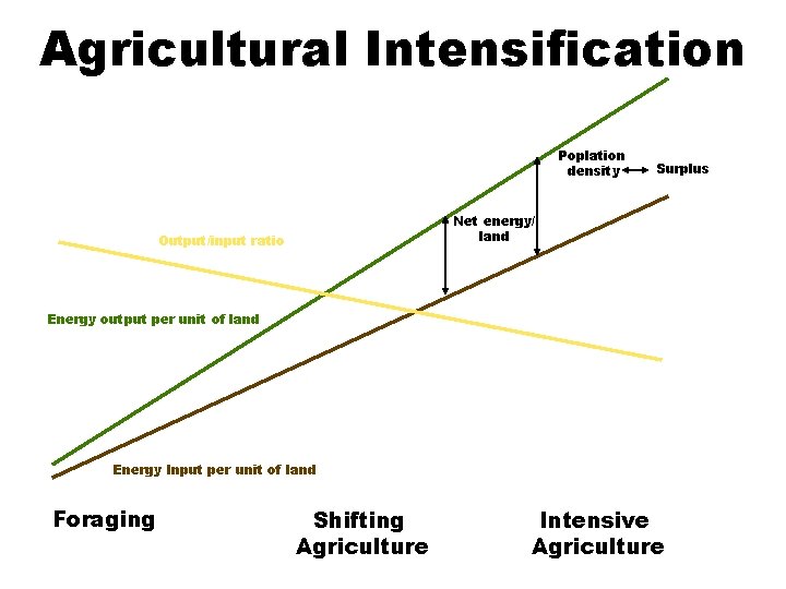 Agricultural Intensification Poplation density Surplus Net energy/ land Output/input ratio Energy output per unit