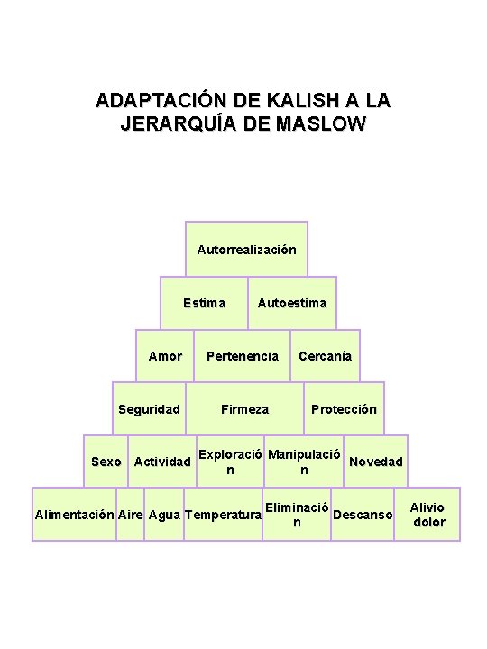 ADAPTACIÓN DE KALISH A LA JERARQUÍA DE MASLOW Autorrealización Estima Amor Seguridad Sexo Actividad ADAPTACIÓN DE KALISH A LA JERARQUÍA DE MASLOW Autorrealización Estima Amor Seguridad Sexo Actividad