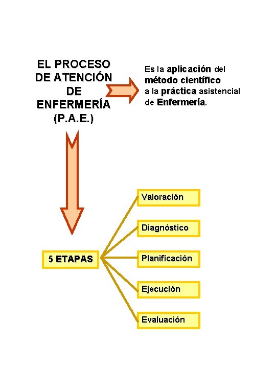 EL PROCESO DE ATENCIÓN DE ENFERMERÍA (P. A. E. ) Es la aplicación del EL PROCESO DE ATENCIÓN DE ENFERMERÍA (P. A. E. ) Es la aplicación del