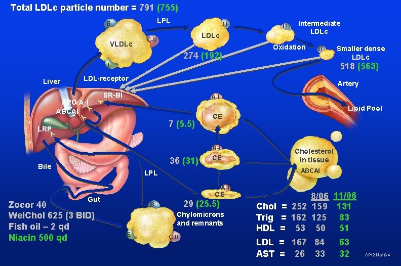 Total LDLc particle number = 791 (755) LPL B VLDLc B B LDLc C-II