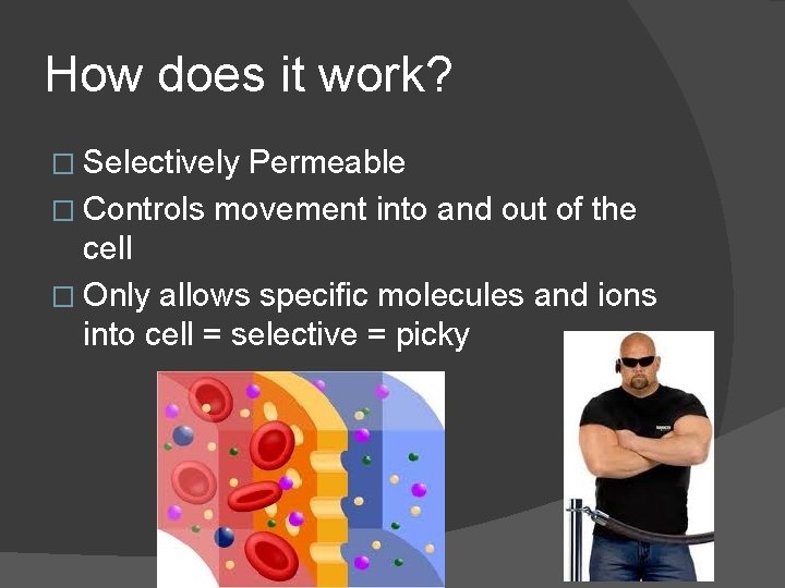 How does it work? � Selectively Permeable � Controls movement into and out of