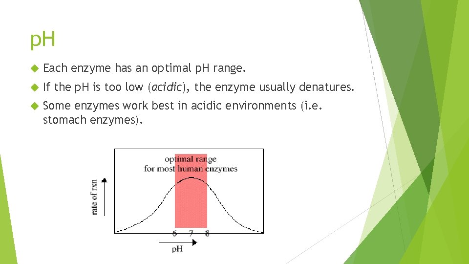 p. H Each enzyme has an optimal p. H range. If the p. H