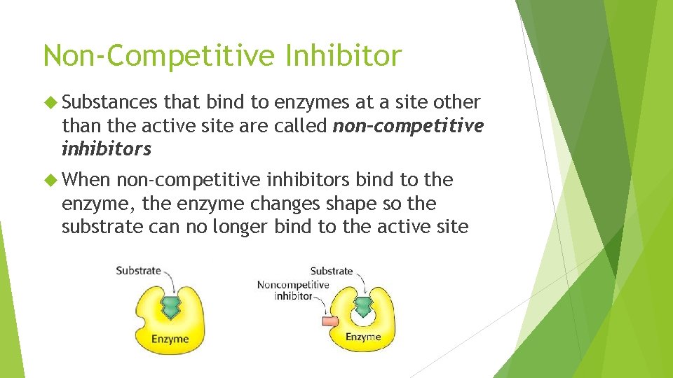 Non-Competitive Inhibitor Substances that bind to enzymes at a site other than the active